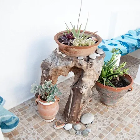 Papadakis Aparthotel Hersonissos (Crete)